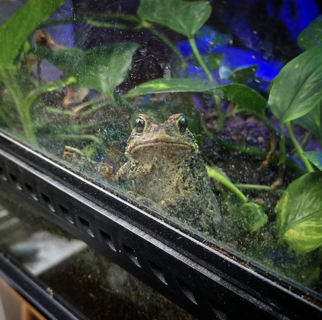 kelsey wailes🐳 tweet media