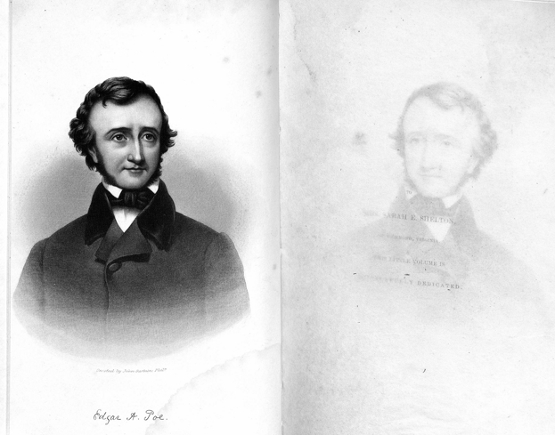 Sarah Wise tweet media