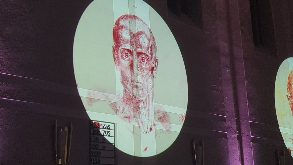 Vasily Zaburdaev 🇺🇦 tweet media