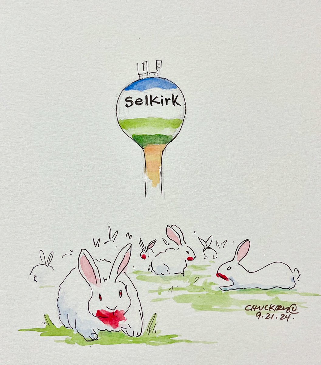 chrischuckry's tweet photo. The headlines scream, โFeral domestic rabbits roam free on the streets of Selkirk!โ Maybe the city of Selkirk is closer to Caerbannog than we know. Stay safe citizens. #cartoon #selkirkmb #feralrabbits #rabbitofcaerbannog #montypythonandtheholygrail #panicinthestreets https://t.co/EWiblJQsXZ