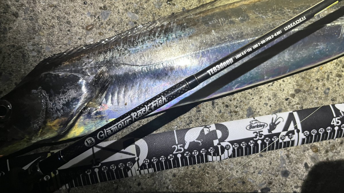 Sablemay's tweet image. タチウオ、F6の自己記録！
これでも不安はなかったメバリングロッド。さすがに抜き上げは怖くて出来なかったけれど…