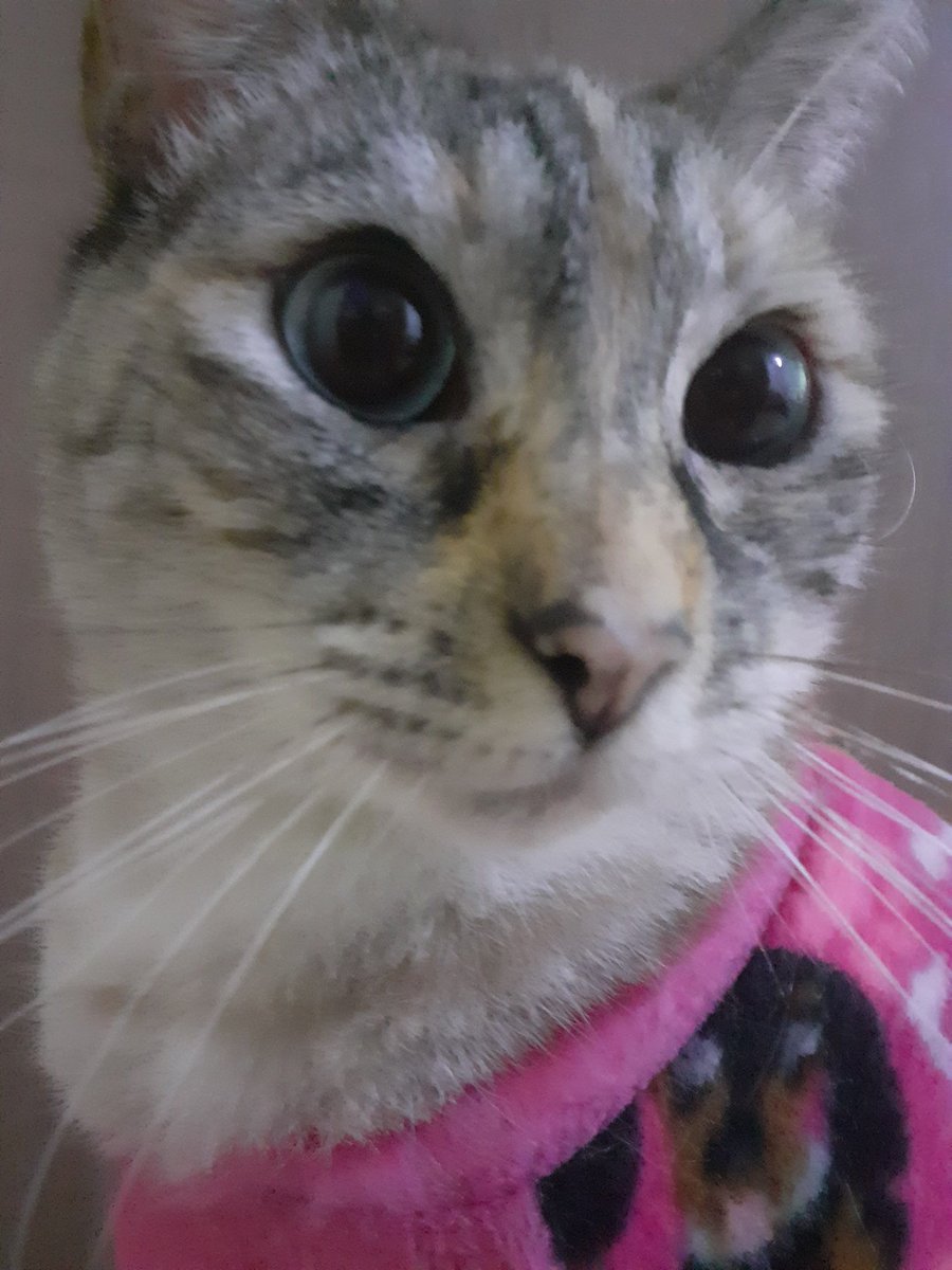 stefen ya no loves 😞 tweet media