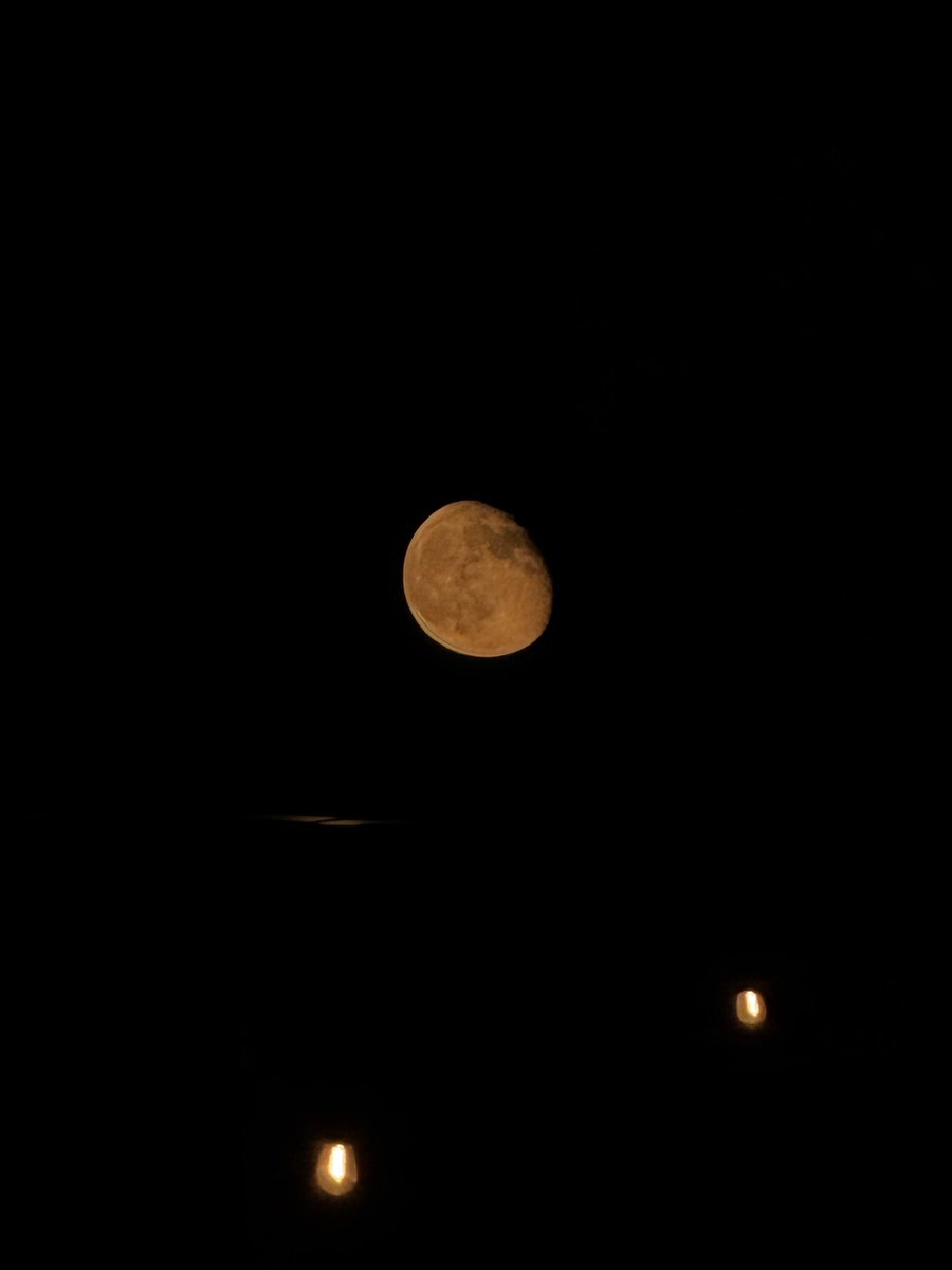 imwaleedkhalid's tweet photo. Goated moon flicks only https://t.co/fqs28OiUoI