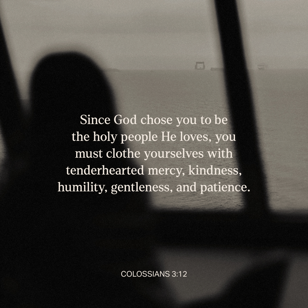 YouVersion's tweet image. Colossians 3:12