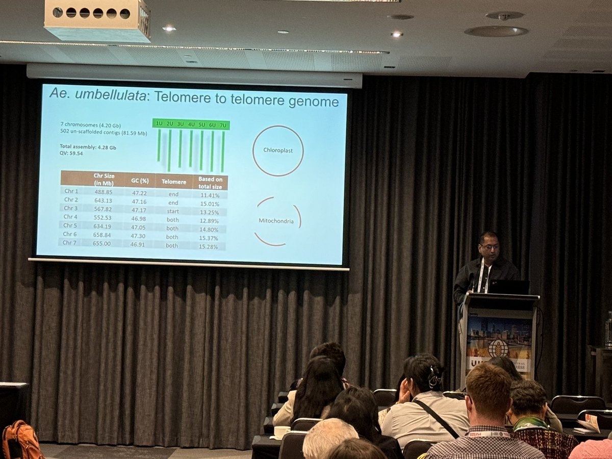 Gurcharn Singh Brar เจเฉเจฐเจเจฐเจจ เจธเจฟเฉฐเจ เจฌเจฐเจพเฉ (@gurcharn_brar) on Twitter photo Next up, my friend and our workshop co-organizer <a href="/ugill10/">Upinder Gill</a> <a href="/rustpathology/">NDSU Plant Genetics & Rust Pathology</a> talking about use of Aegilops umbellulata in improving bread wheat. #IWC2024 Next up, my friend and our workshop co-organizer <a href="/ugill10/">Upinder Gill</a> <a href="/rustpathology/">NDSU Plant Genetics & Rust Pathology</a> talking about use of Aegilops umbellulata in improving bread wheat. #IWC2024