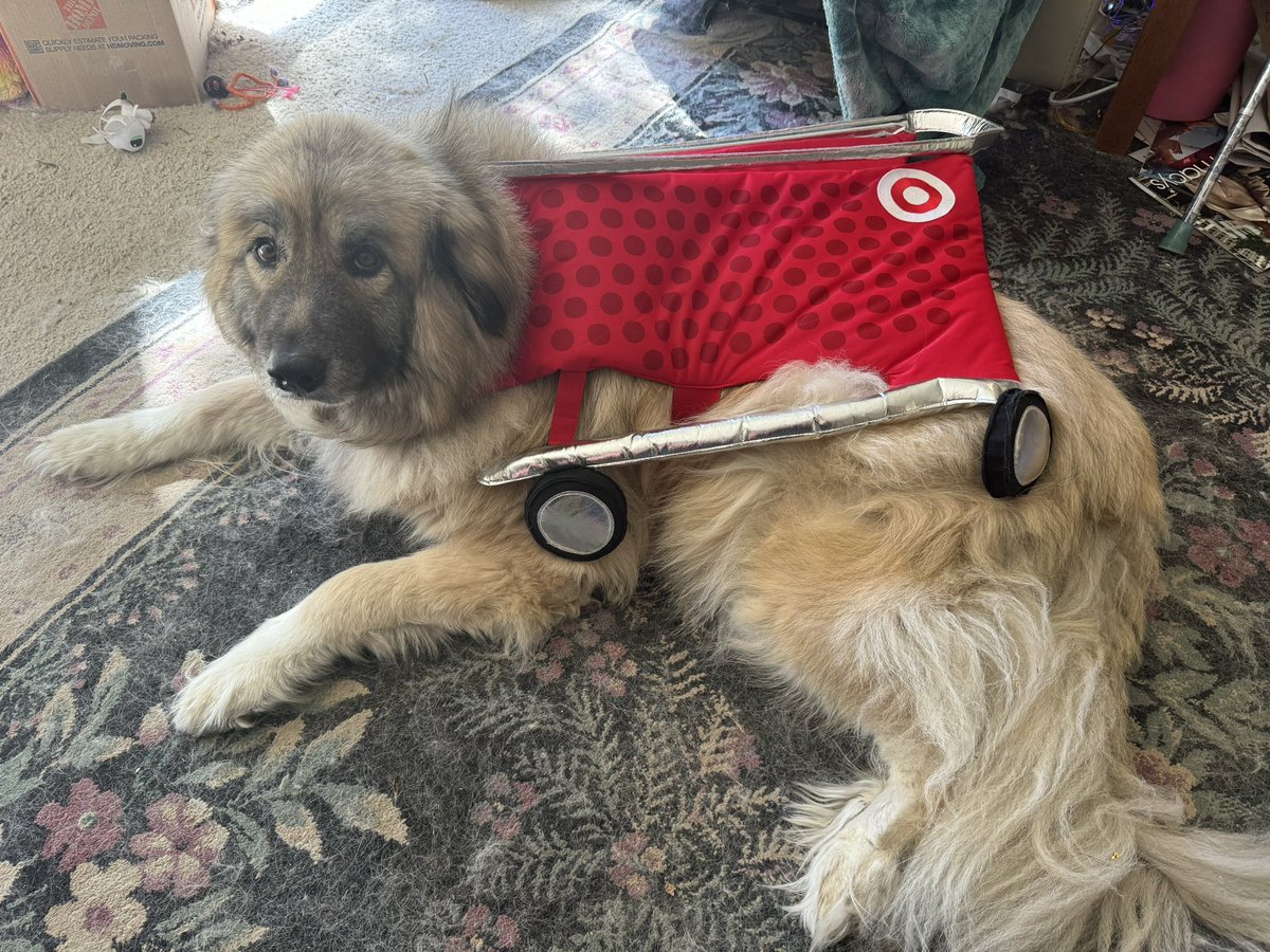 Hey <a href="/Target/">Target</a>, Mika is loving her Halloween costume for this year, but Chief says the XL is too small, and the XXL shows as being out of stock. Don’t suppose you have one hidden away somewhere that we could buy for Chief?