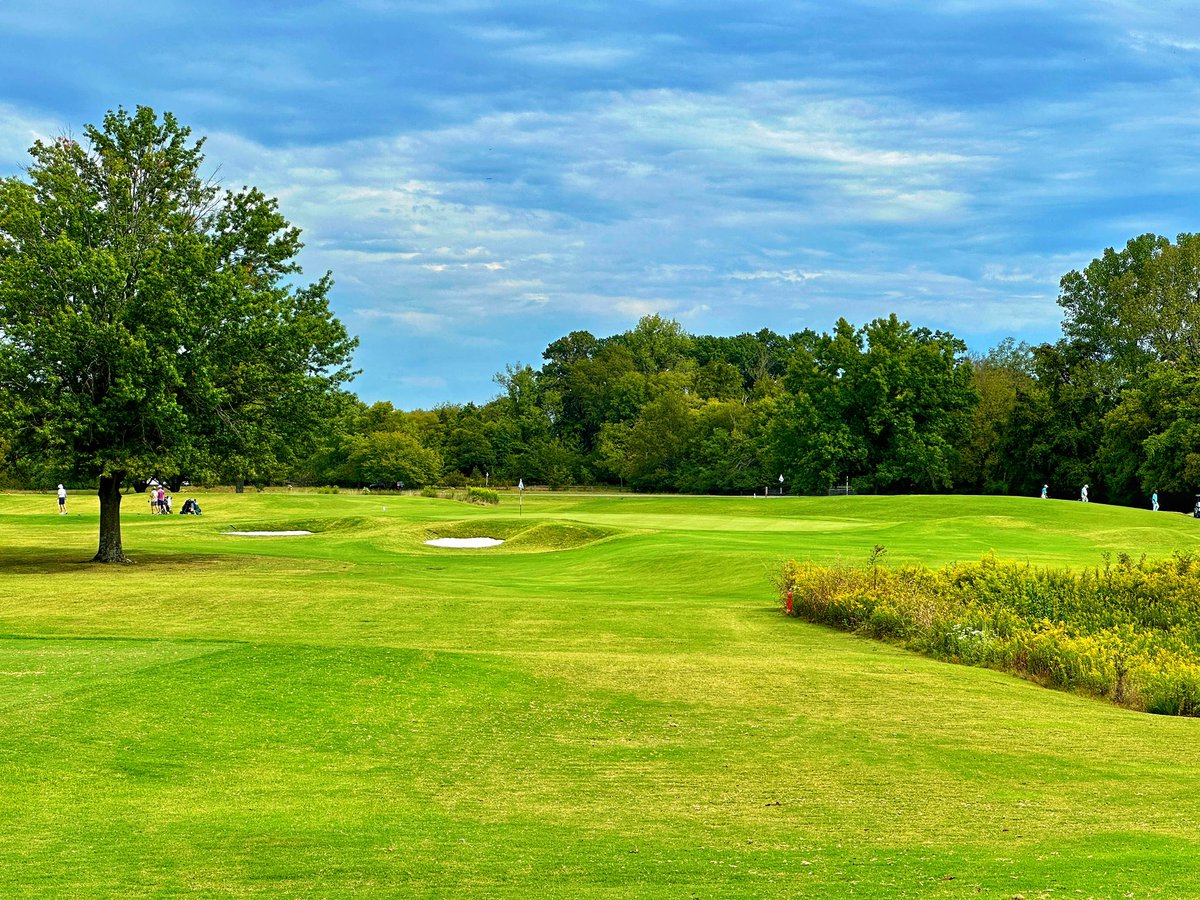 Tim Gavrich tweet media