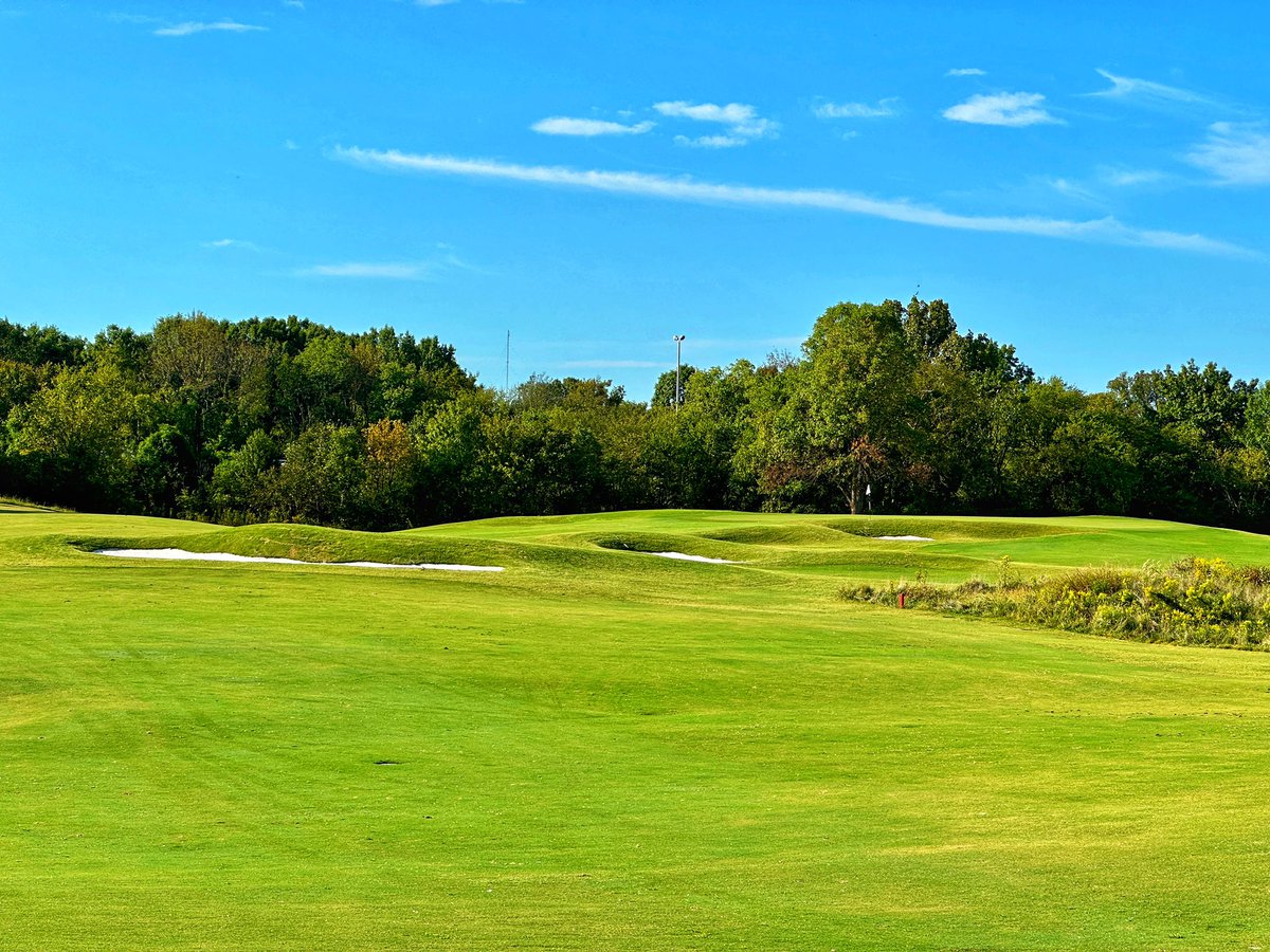 Tim Gavrich tweet media