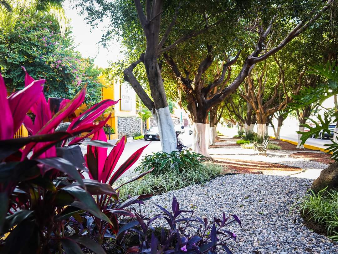 SDSySPCuerna's tweet photo. 📣 Con el objetivo de recuperar y mejorar la imagen urbana de la ciudad y como parte del Programa de Adopción de Espacios Públicos, el @CuernavacaGob, a través de la SDSySP🌿, https://t.co/py7kEAkc3t