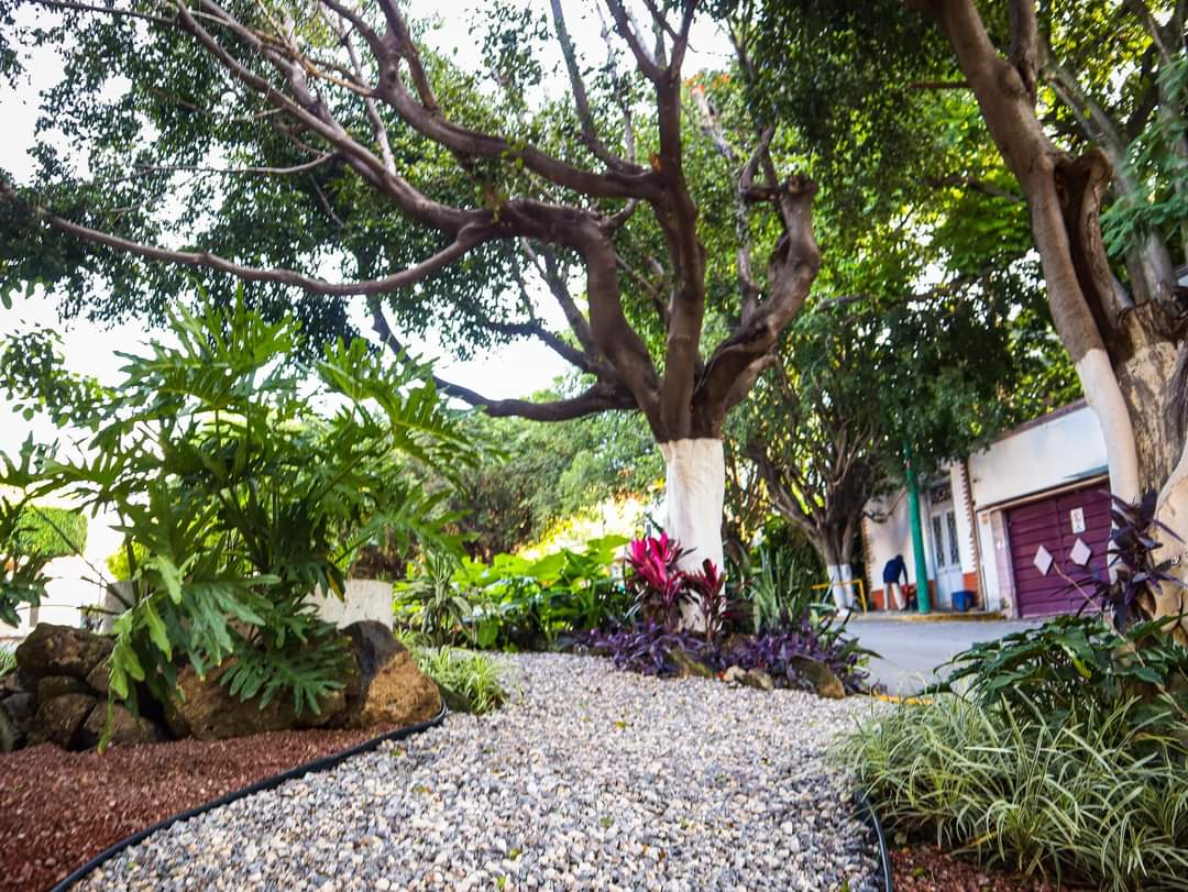 Hasta el momento más de 20 empresas socialmente responsables se han sumado para rehabilitar los espacios públicos. Las acciones integrales que se llevaron a cabo en el tramo de este espacio fueron de mantenimiento y contribuirán a que sea más transitable de noche.