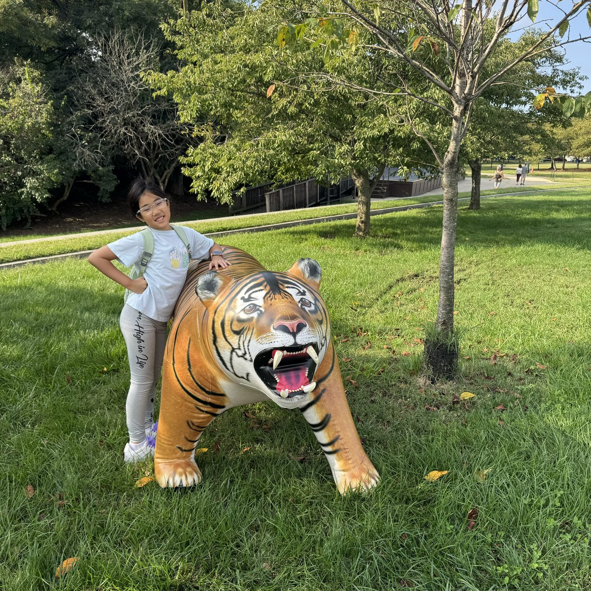 JetCreations's tweet photo. Jet Creations' lifelike tiger had a great time at the George Washington Monument, posing with the crowd! Get yours here: https://t.co/VLbedCSisZ  
#JetCreations #TigerAdventure #InflatableTiger #TigerOnTour #TigerFun https://t.co/lqCGe9qpbg