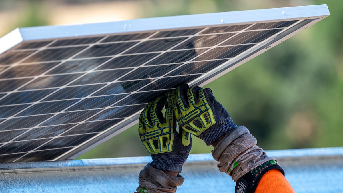 Climate News NZ tweet media