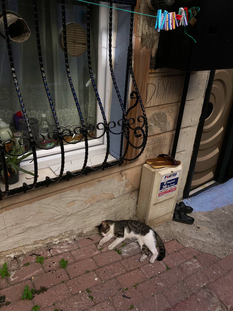 اسطنبول في عيني ليست برج غلاتا أو مضيق البوسفور فحسب ، سأظل أقول ، اسطنبول تختبئ هنا وهناك ، وهي ليست بمدينة، بل حكاية ،وألف واحدةٍ أُخرى 🤍.