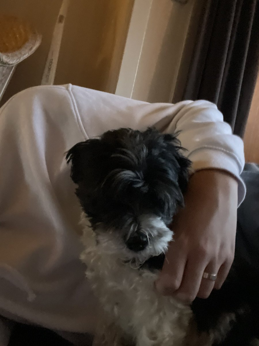 loading_xo's tweet image. Who here wants to take her place? ;) 

#nsfwtwt #daddy #daddykink #cnc #cnckink #ddlg #dom #daddydom #puppygirl #pup #sub