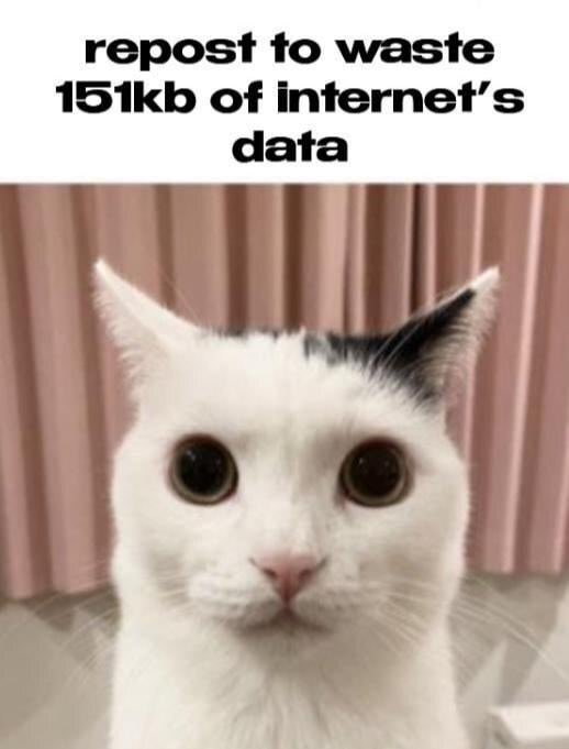 no context memes (@weirddalle) on Twitter photo 