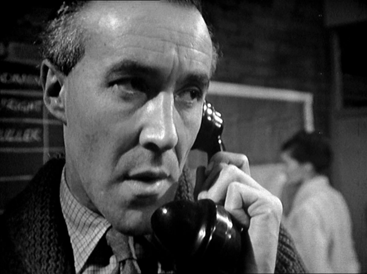 Zoe's feather boa 19K tweet media