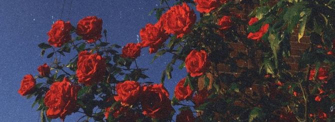 bu dünya için fazla güzelsin çiçeğim