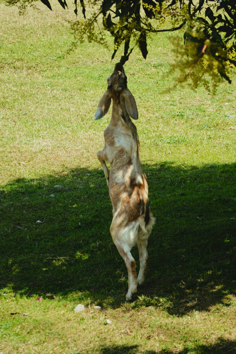 Totally vibin' after catching that awesome outdoor dance show at the park today!