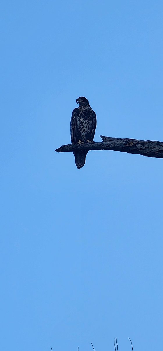 Kenny Carter tweet media