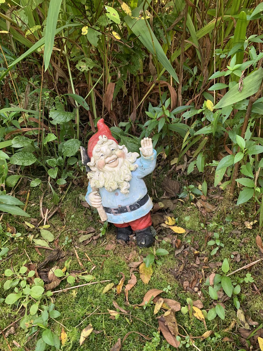 Met this chap on a walk. 
“Greetings me old chum! Follow me and I shall you show you the sacred land where dwells the good people. The finest of all!” He claimed. I followed him and he produced a blue orb and pointed to it…1/2