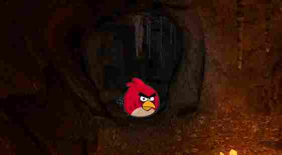 BirdAngry2009's tweet photo. Wow ! I am In Scary Cave! Bird is Excitement
#DUSKTILLDAWNEVENT https://t.co/jVoJ6MDO3O