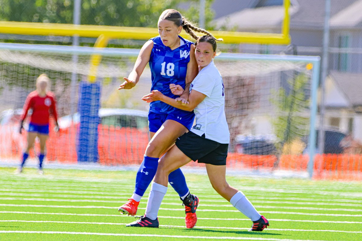 Michael Najera tweet media