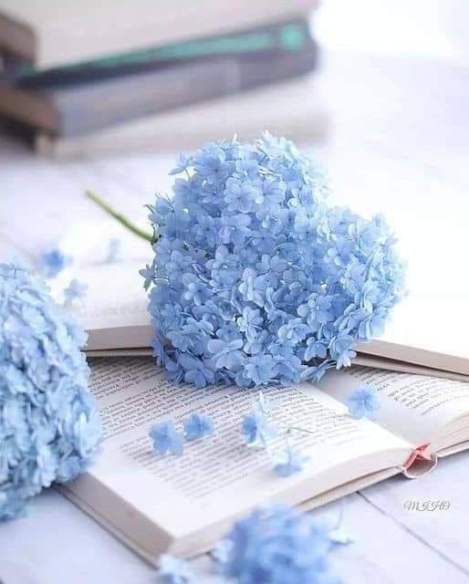 khulud233's tweet photo. اتركوا الغيبة والنميمة وتجنبوا عورات الناس، فمن تتبّع عورة أخيه تتبّع الله عورته ومن تتبّع الله عورته فضحه ولو كان في بيت أمه. 🩵 https://t.co/ZZ3gIPEIMl