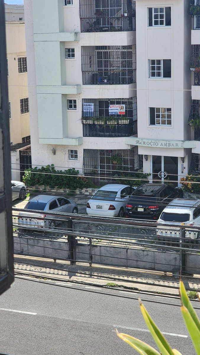 Albert paulino tweet media