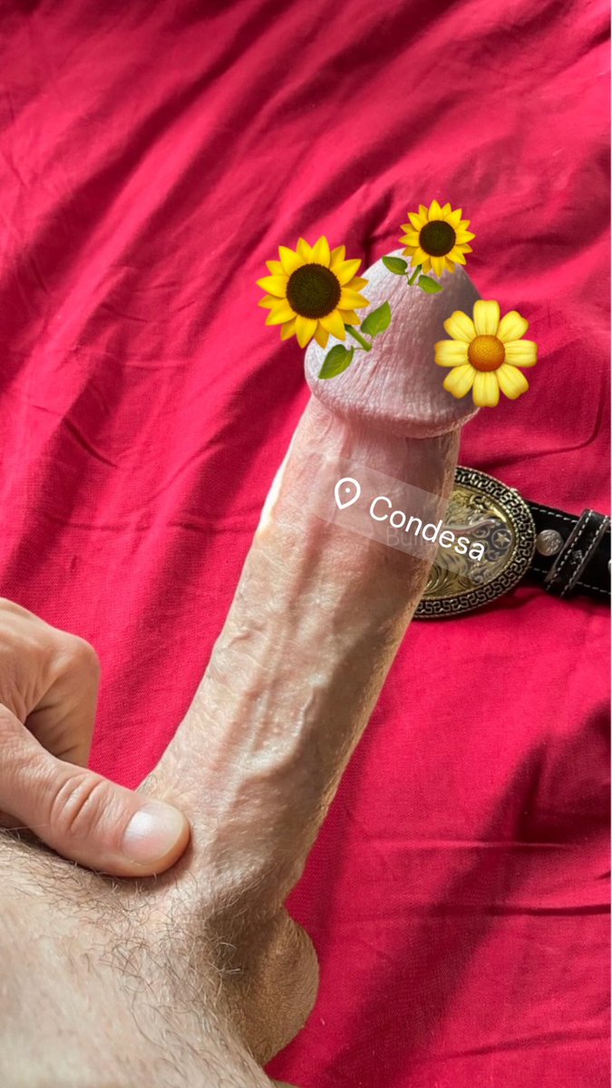 🅰️️vco tweet media