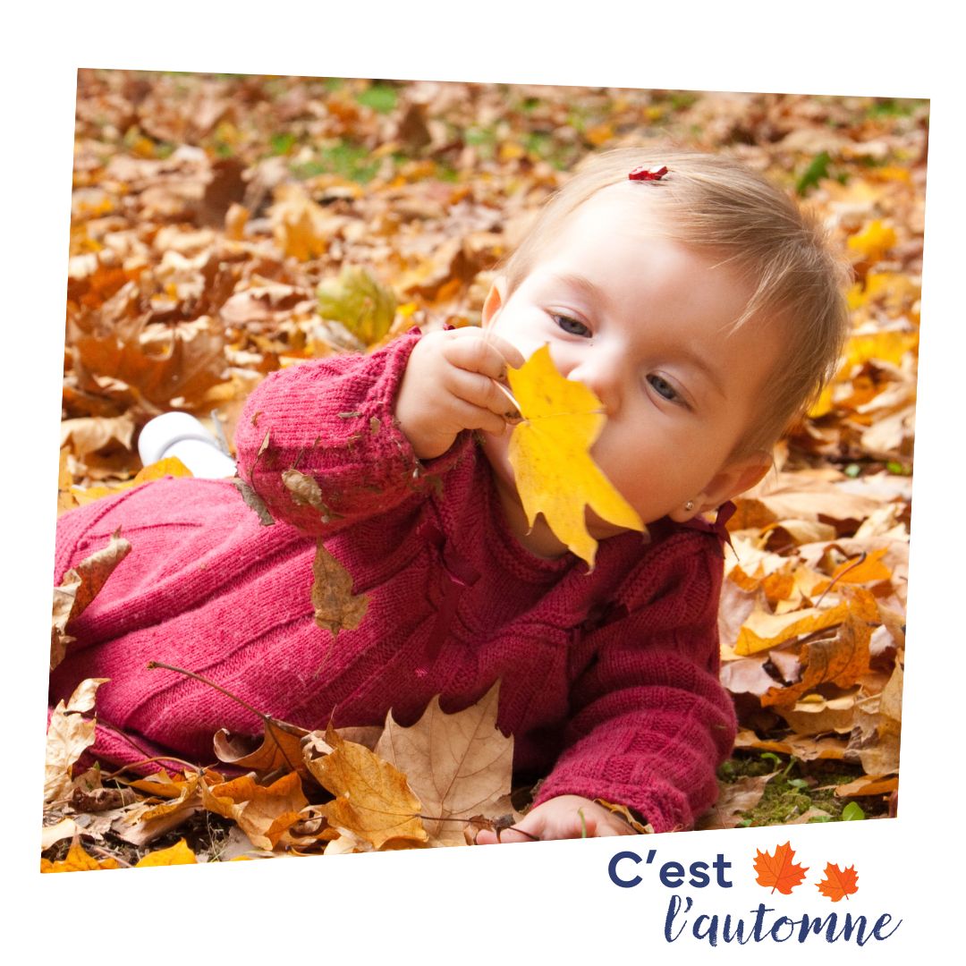 ComandKids's tweet photo. Qu'est-ce que l'automne évoque pour vous ? 🍁

Les balades au milieu des feuilles dorées, ou peut-être Halloween qui approche ?

L'automne est une saison pleine de charme et de douceur !🌟

Partagez avec nous votre moment automnal préféré en commentaire ! 👇
#automne #parents https://t.co/GsXeskVz3b