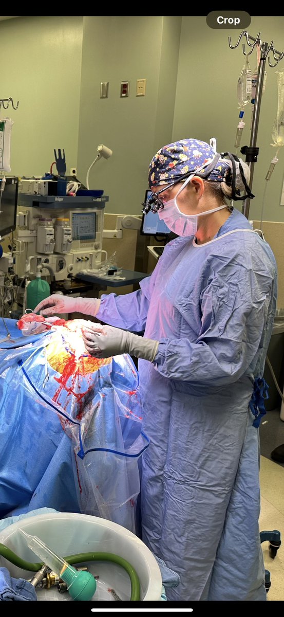 Sarah Merrill, MD, MS tweet media