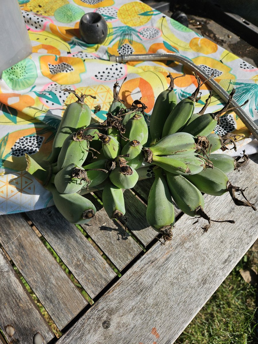 Chris Woolum tweet media