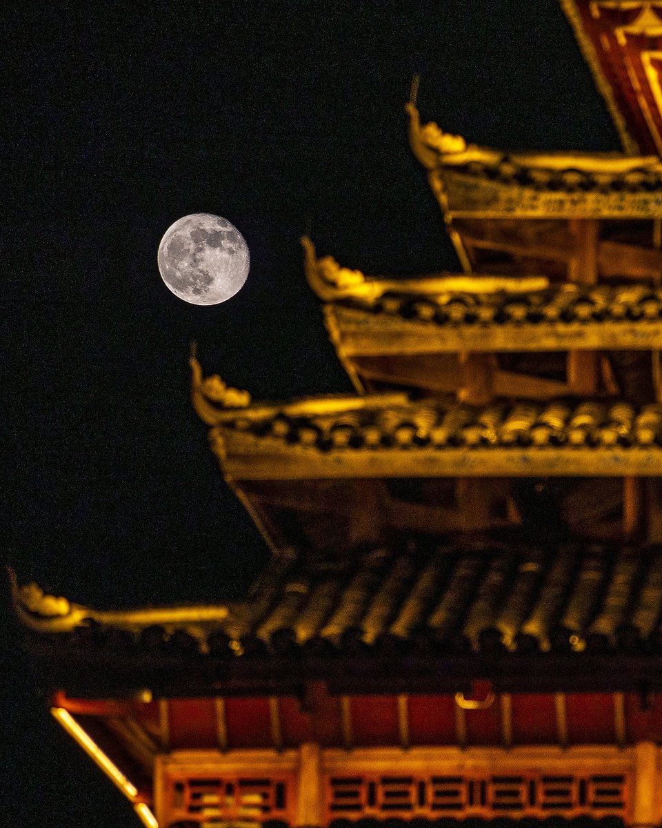 China Daily tweet media