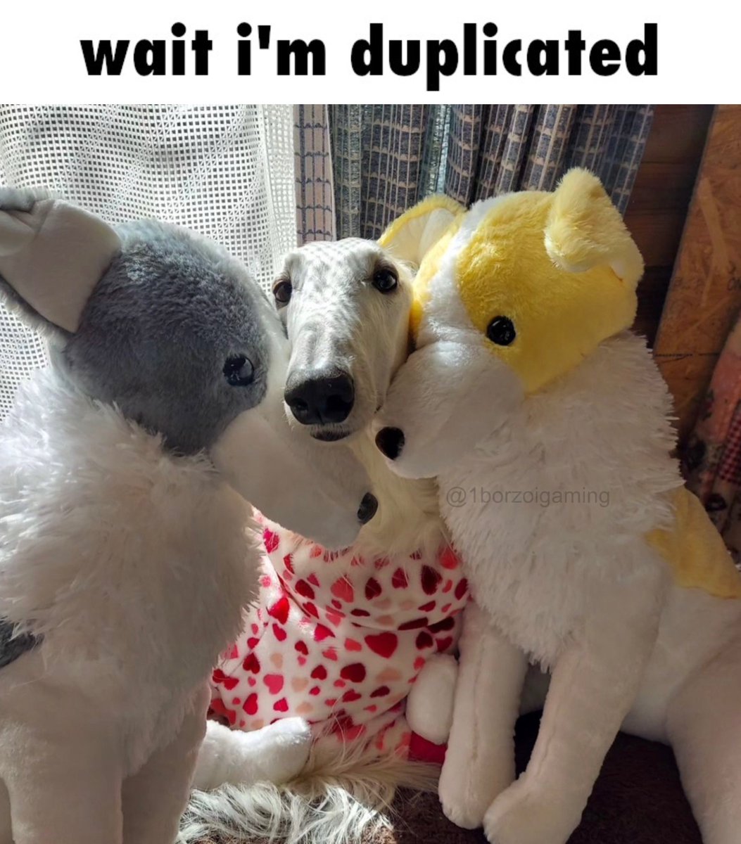1borzoigaming's tweet photo. 380
#borzoi #borzoitwt https://t.co/sSAUBv2SN0