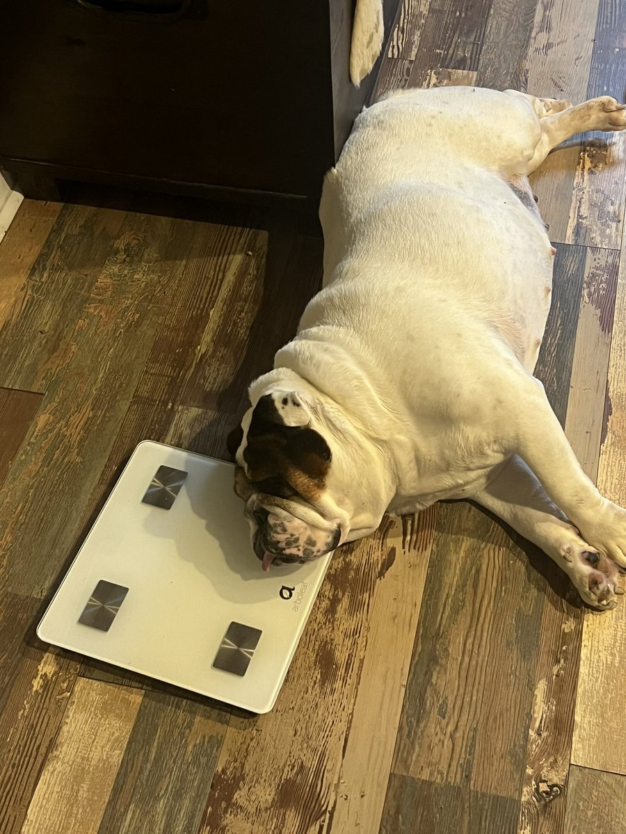 Don’t forget this is the time to add weight to your conviction bags.. 

Don’t let the market get you down..

IT’A BULKING SEASON!! 

ADD TO YOUR BAGS BEFORE YOU’RE PRICED OUT!!

<a href="/ValeriaStudios/">Valeria Games</a> the game launches in 13 days, wake up and shill it everywhere.. we are slept on and