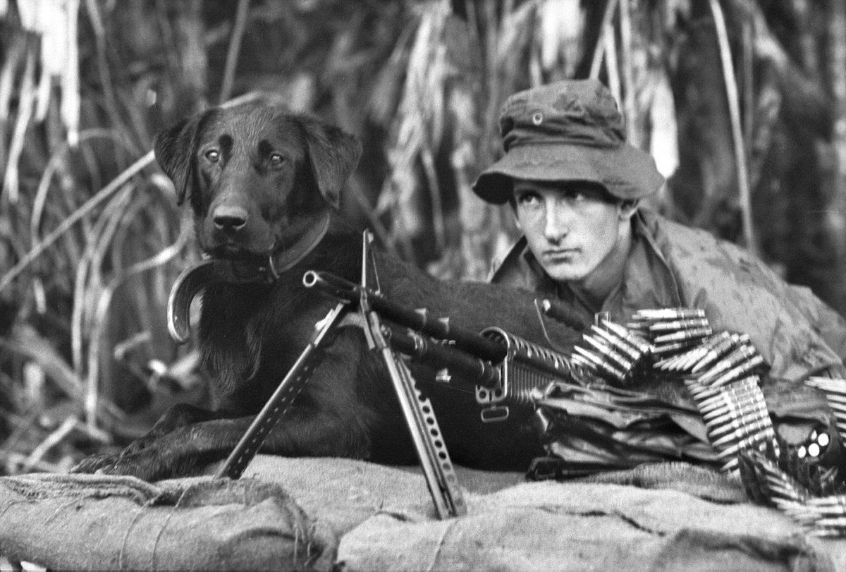Aust War Memorial tweet media