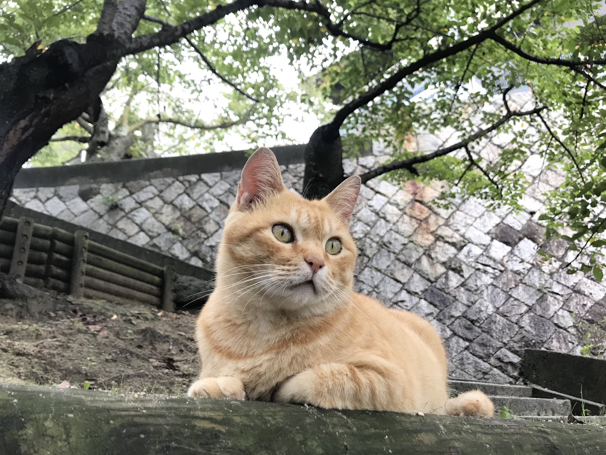 尾道市立美術館 on X: 尾道市立美術館 on X: