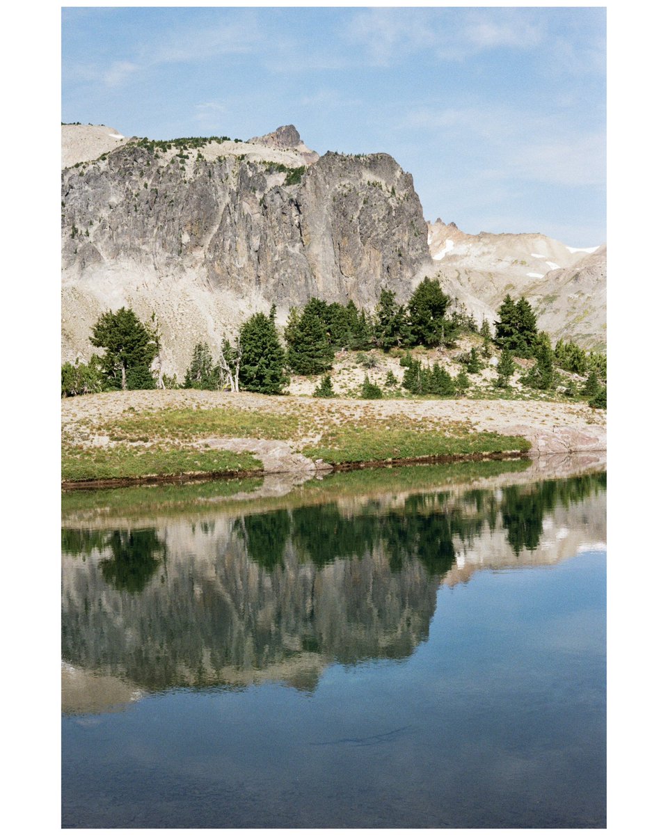 forestoutside's tweet image. Reflections + ColorPlus 🎞️