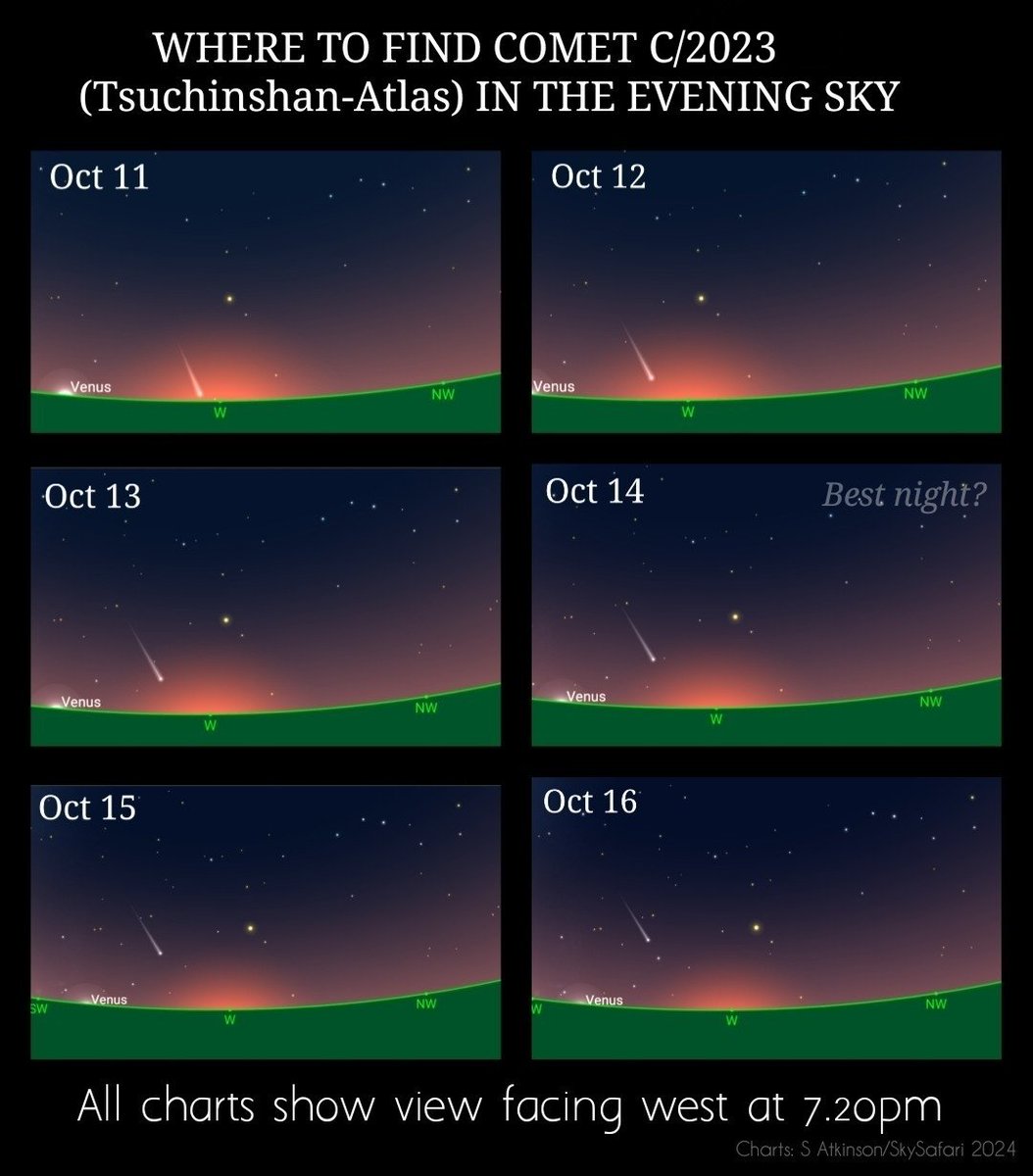 mars_stu's tweet image. Looks like we might have a pretty naked eye comet in the northern sky next month! To find it, face the west after sunset and look for a star with a fuzzy tail. (Note: charts drawn for UK time, use an app for times specific to your own location). Charts made using @skysafariastro