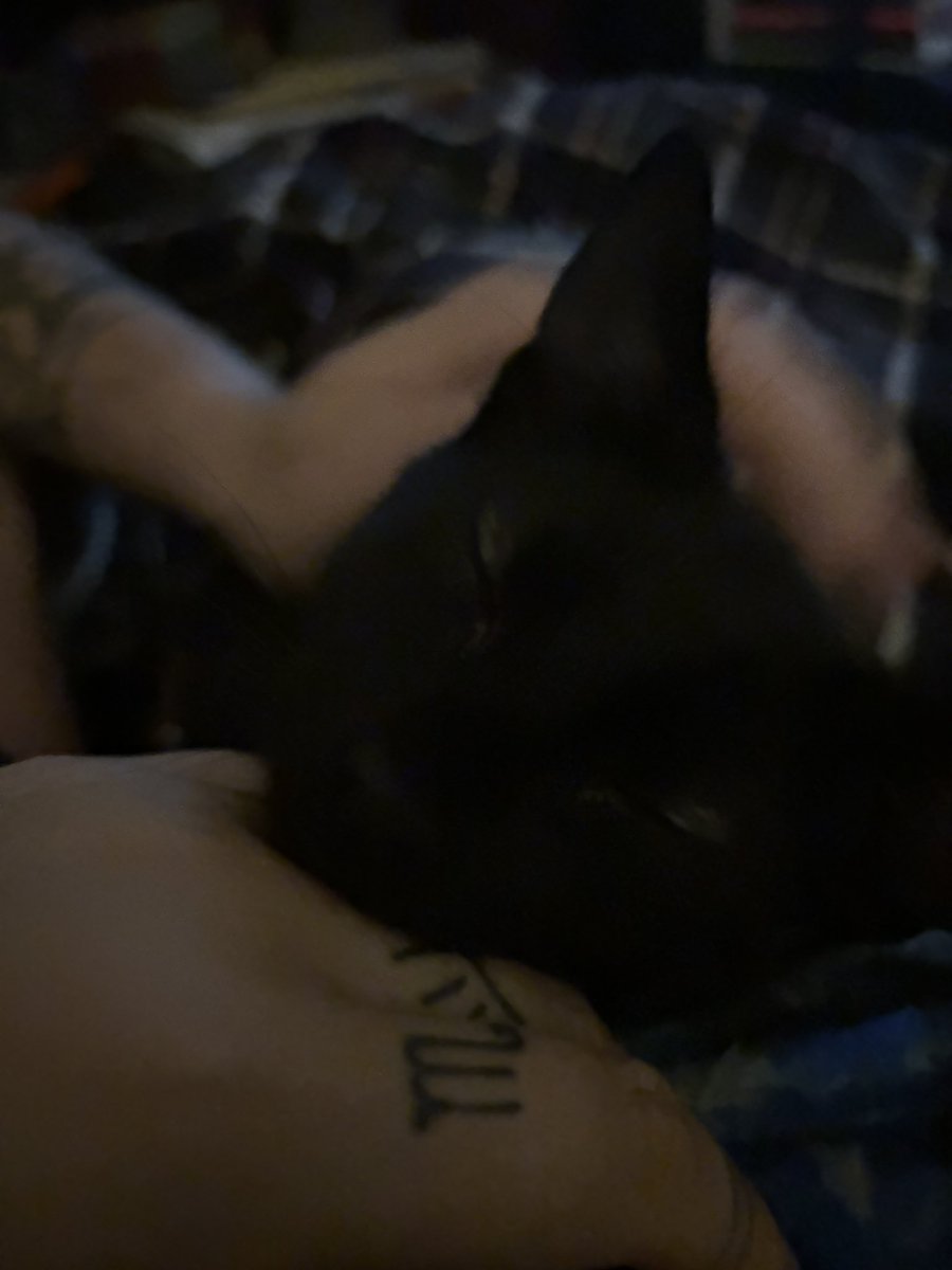 pmpkincreep's tweet photo. @garfieldcowboy “ty maxim” - sleepy killua https://t.co/rCVXFLoNeB