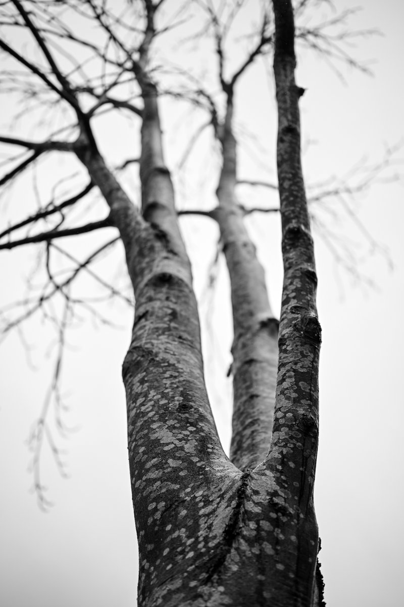 HomeWhenWalking's tweet image. 7187