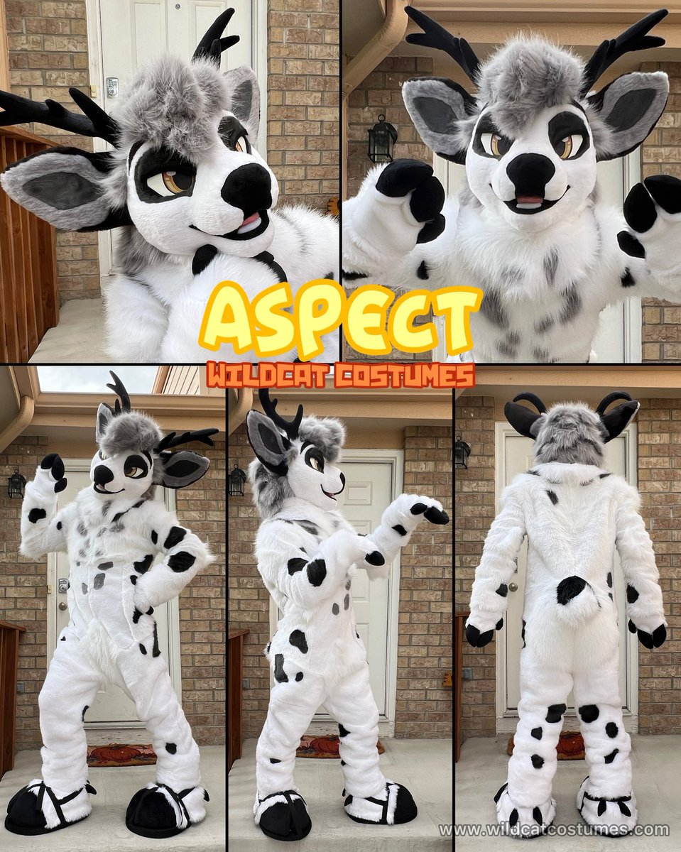 Wildcat Costumes 🪡🐾 tweet media