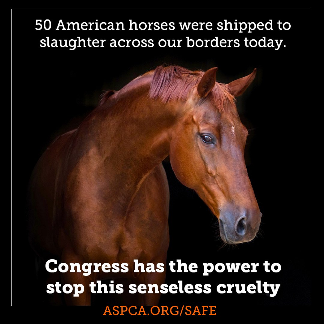 kymbower tweet media