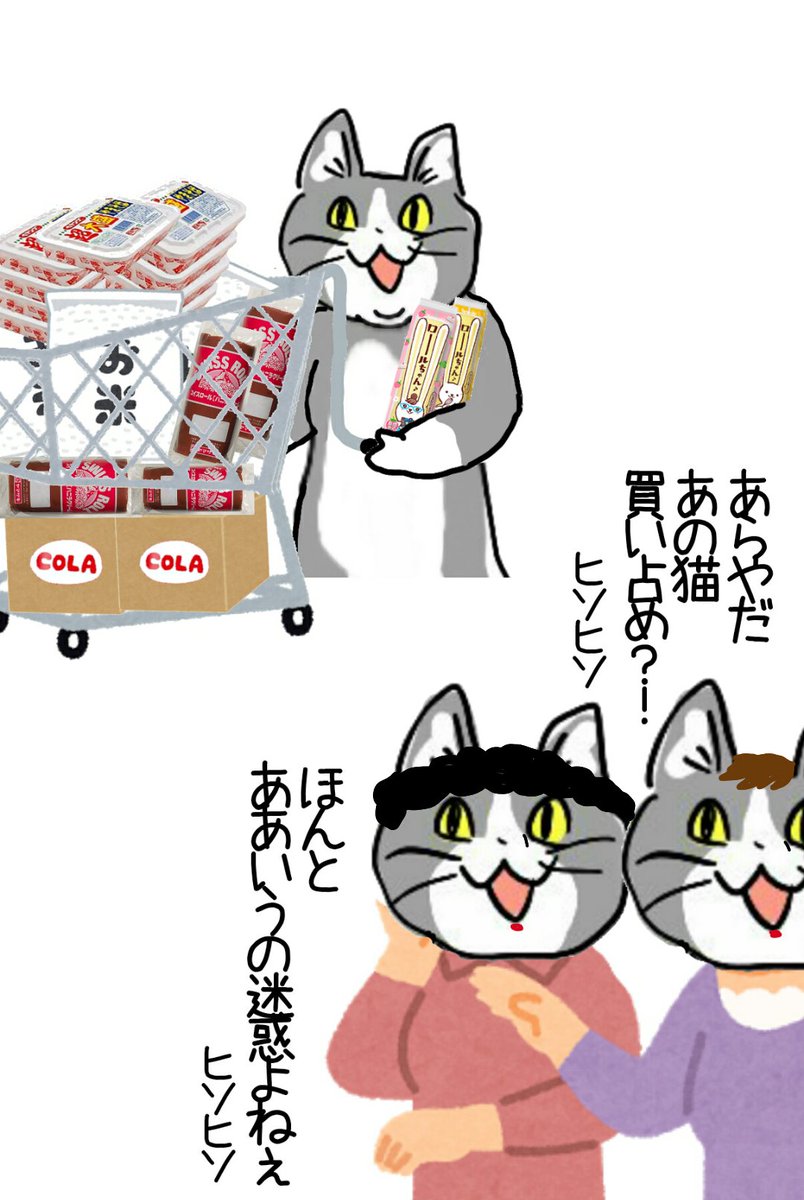 メタボ猫パイセンの食欲の秋🍚🥤🍜(平常運転) 