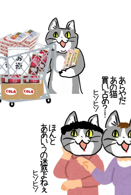 メタボ猫パイセンの食欲の秋🍚🥤🍜(平常運転) 