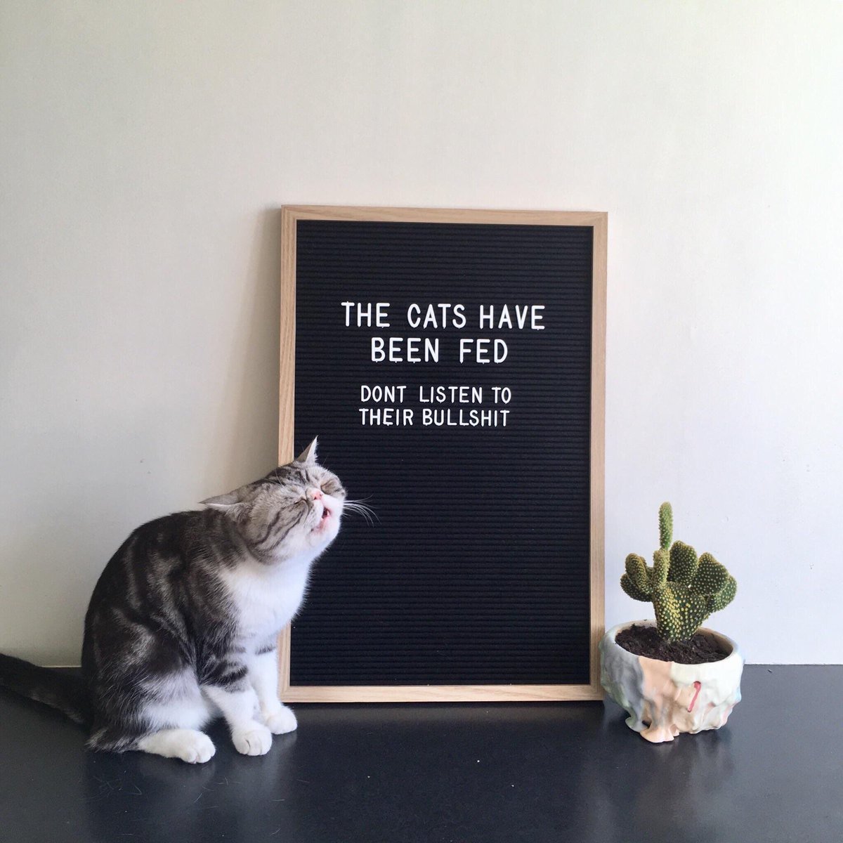 I need this sign in my life