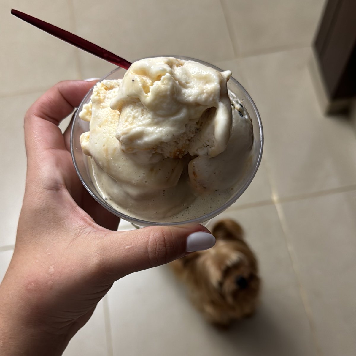 El mejor helado de Santiago lo encuentran en Malala Gelatería, mis favoritos son el Sweet and Salty y el de Pistachio. 🥰