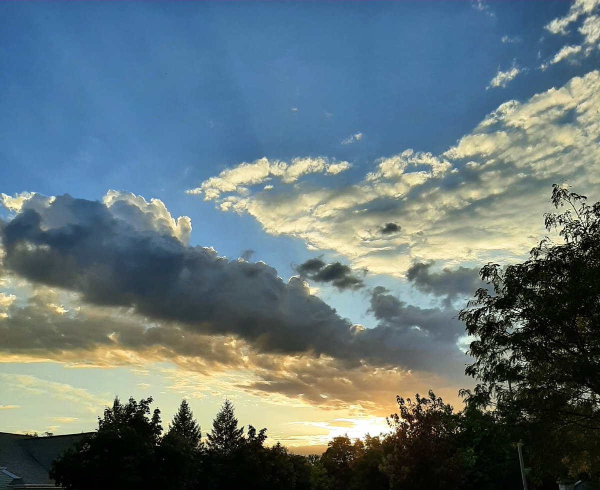 Paradoxpoet11's tweet image. #inrealtime📷🌥️