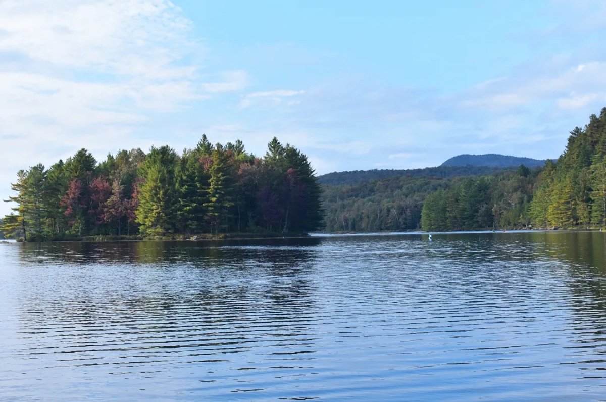 yanneyboy1's tweet photo. Few more pics taken at "l'Étang au cerises".
#hiking #hikingadventures #NatureBeauty
#enjoytheoutdoors #beonewithnature #parcnationaldumontorford
@BetterParties @CeriWillott @RicardoCalvrio1 @grub12321 @333mzma @nascar_oz @dunlopfirestone @Mayascribe @middleverse1 @stackartist https://t.co/PgVKbC9YYq