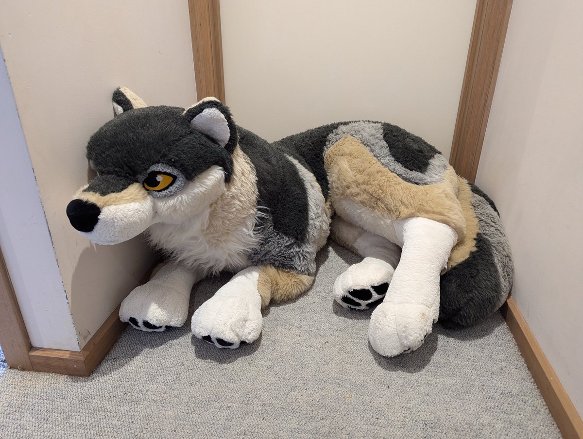 Squishy Yeen tweet media